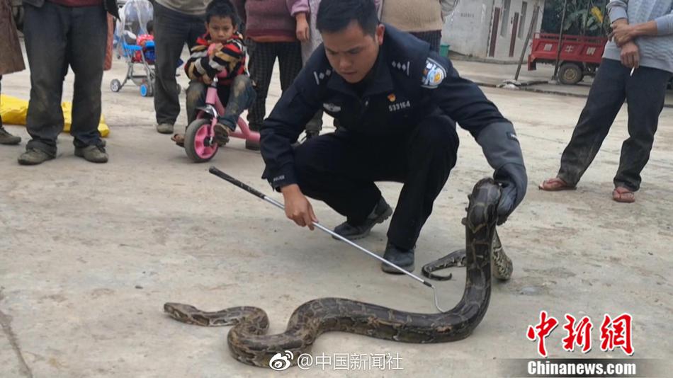 宜昌火车站附近200元快餐—翻译—血流漂杵,宜昌火车站附近的足疗
