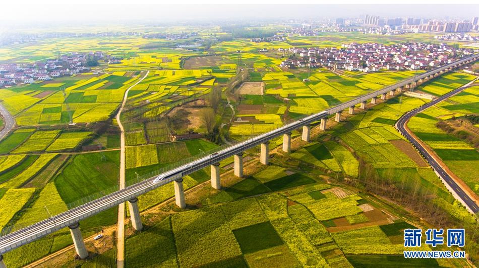 51风楼阁登陆,风楼阁全国信息2021论坛