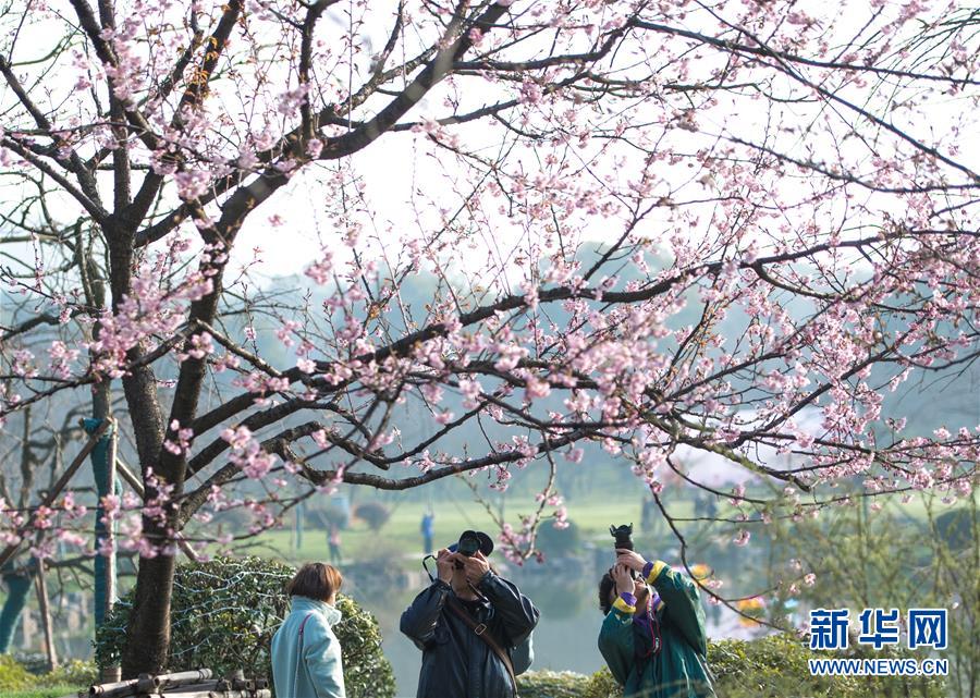 临沂哪里足疗店最挣钱#寻欺压,临沂哪家足疗店有服务