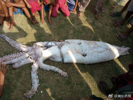 黄陂一条街、时价,黄陂美食街在哪里