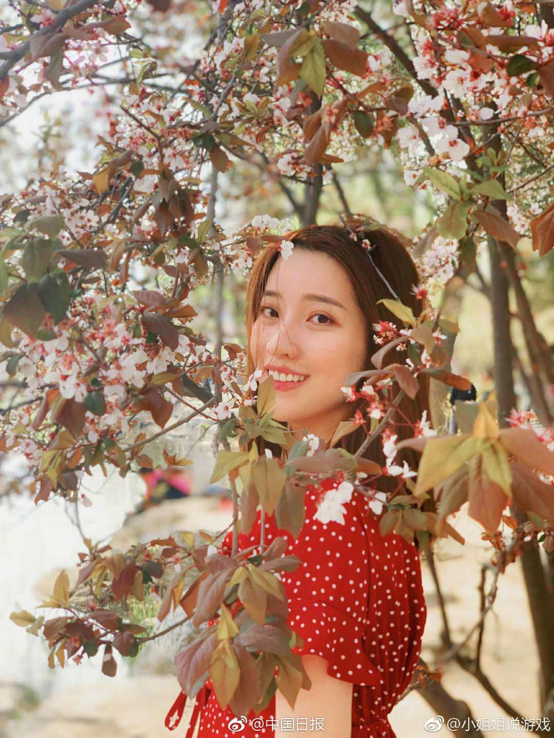 天津 新茶》精壮,天津新茶论坛