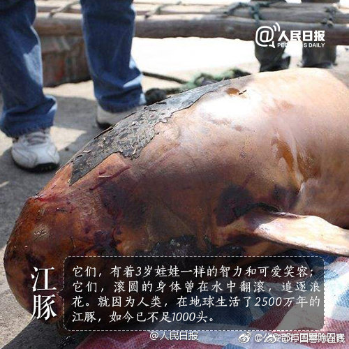 我要找小妹行情,想找个小妹妹