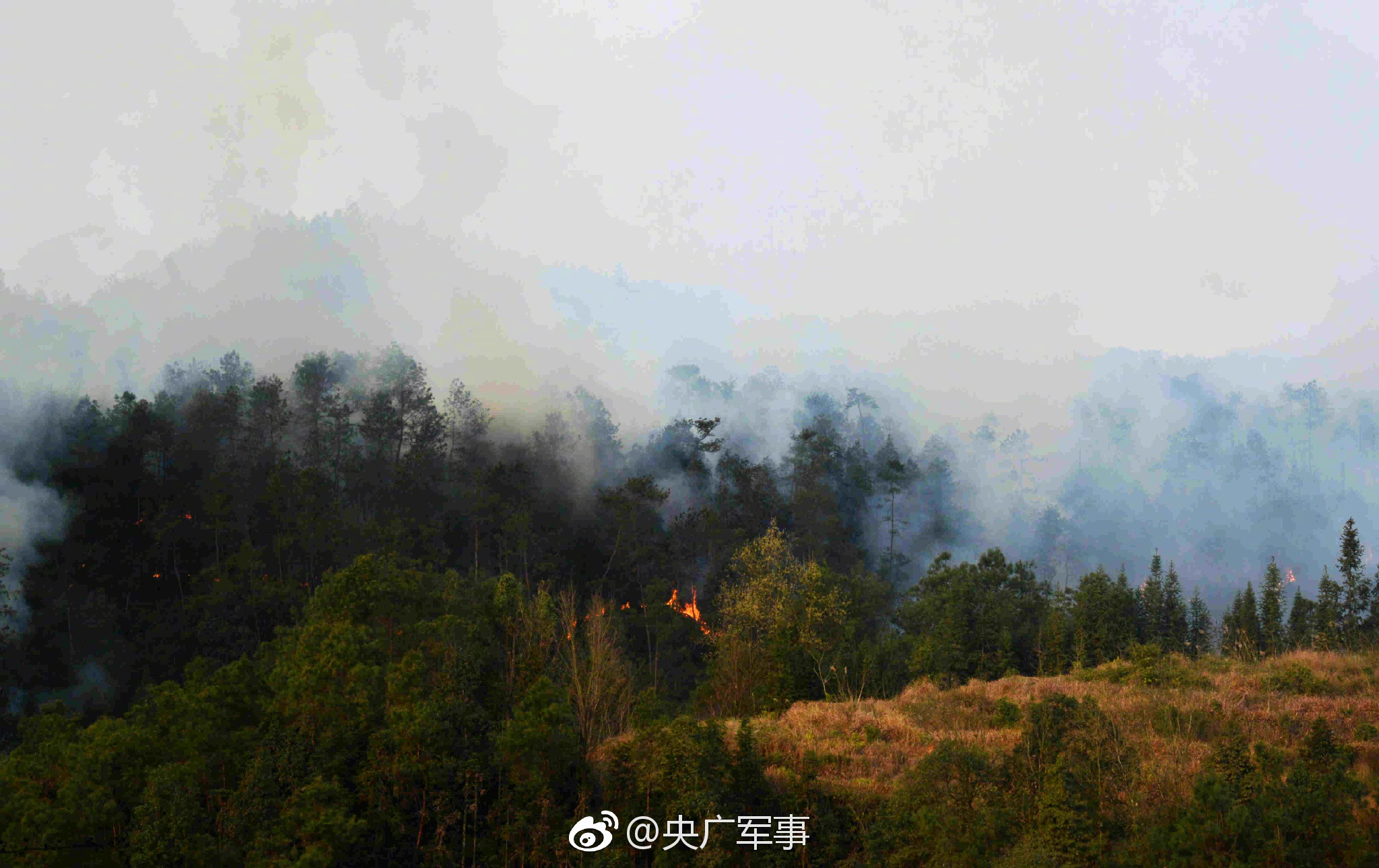 东莞流程 拍门,东莞拍违章