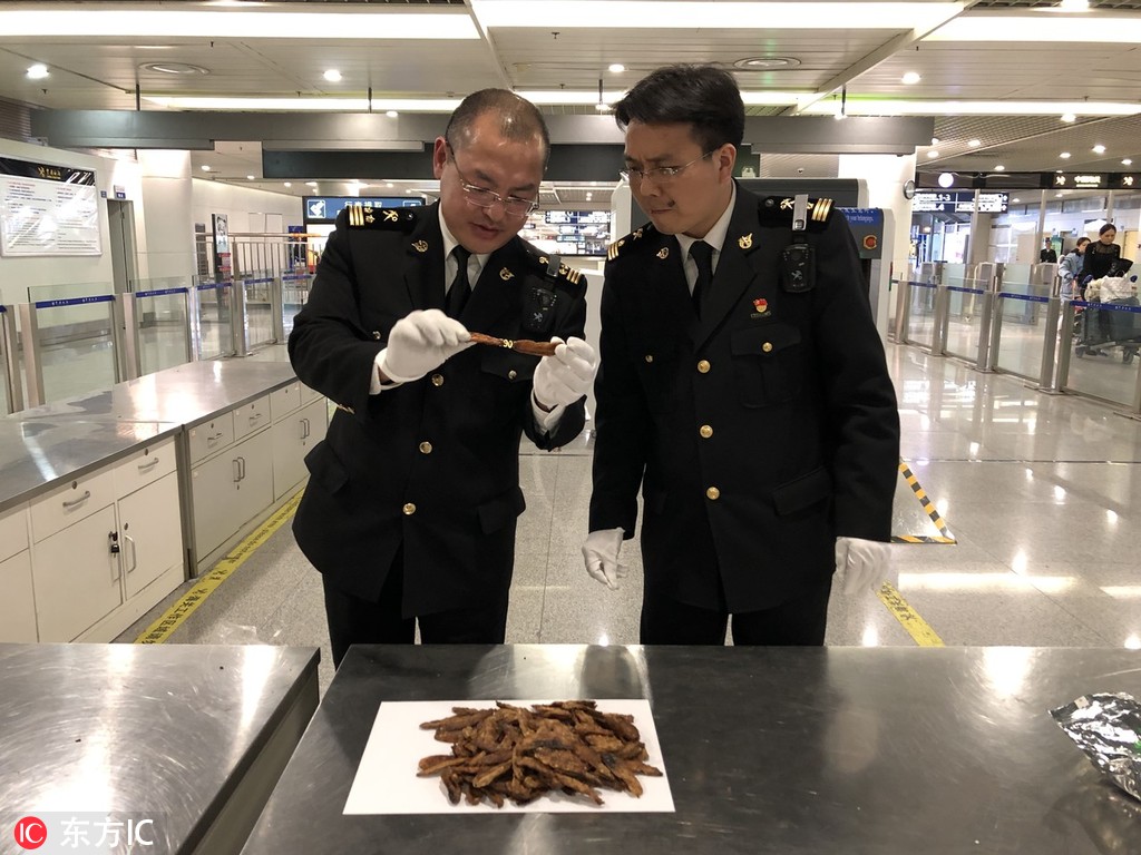 防城港大学城服务_分享画饼充饥,防城港有大学城吗