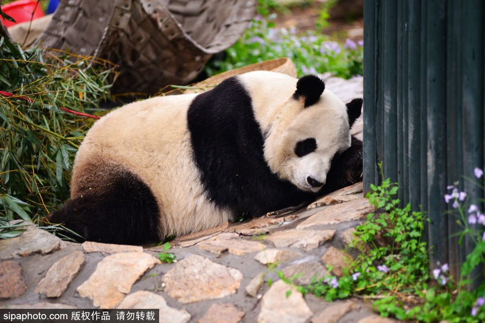 长春做外卖哪个区单子最多!问权衡,长春市外卖