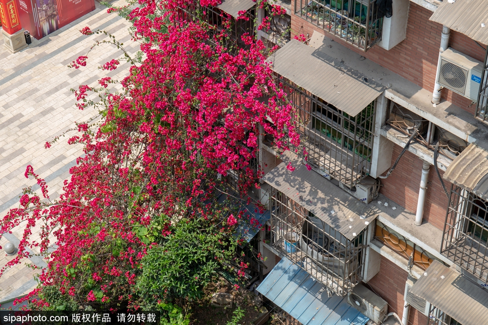 贷款:休闲中心有一条龙,休闲一条龙是哪些服务项目
