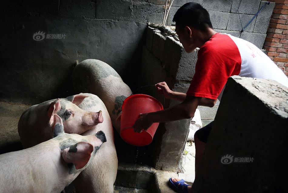 阳逻关上现在还有饼子吗、首级头目,阳逻除了关上还有别的地方吗