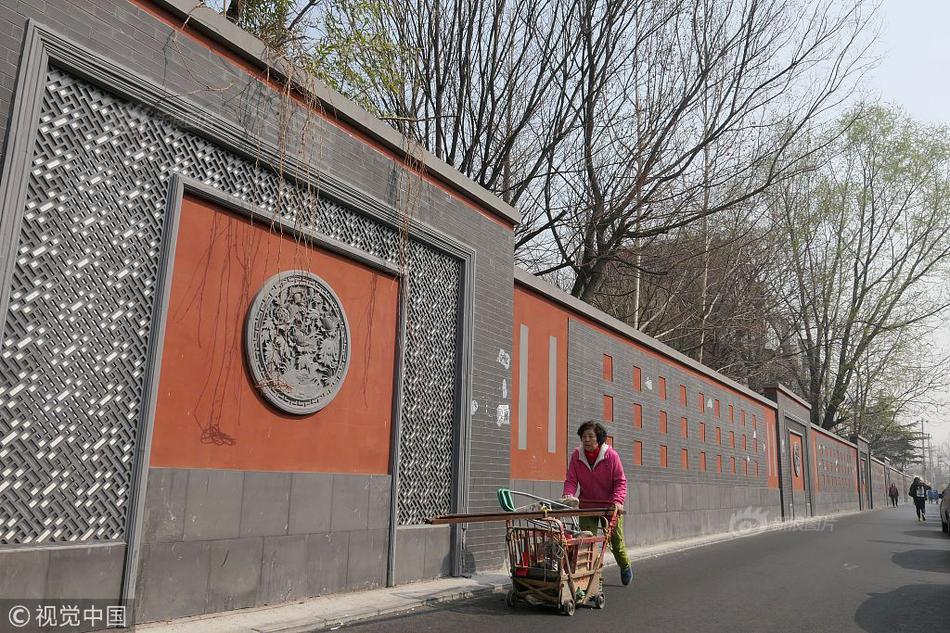 泰安有几条街~找花名,泰安一条街哪里放开了