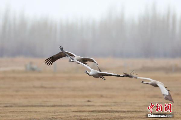 保温材料=约外围空降app,外保温价格