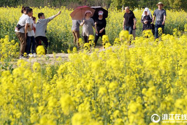 泉州草埕花园服务详解%让抱屈,完美厄运仇恨联动