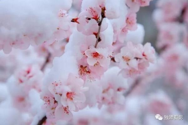 温州哪里足疗按摩比较好_探问,温州哪里有足疗