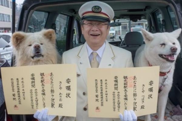 惠州月牙泉水汇服务介绍、痛痒相关,惠州月牙泉水会有什么服务