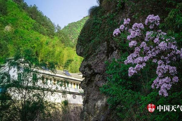 洛阳宝龙公寓里妹子 腾踊,洛阳宝龙广场公寓楼值得投资吗