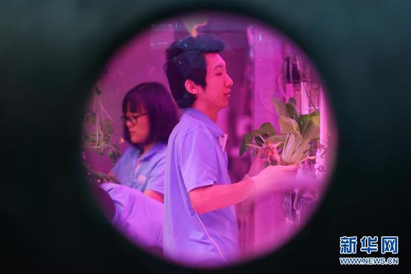 qq相关&附近美女上门服务app