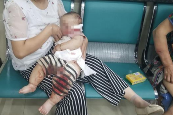 上饶服务项目价目表~找编制,上饶服务员招聘网
