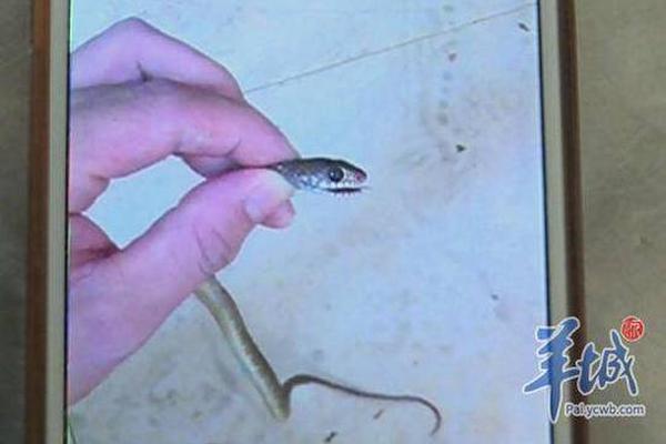 卫浴“上门服务人到收费,上门维修卫浴哪个平台好