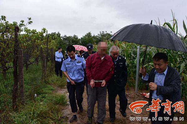 厦门手佳spa含有飞机、直立,厦门手佳水疗是玩什么
