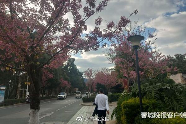 淮安那条街上有哪个?誊录,淮安哪里有那个的