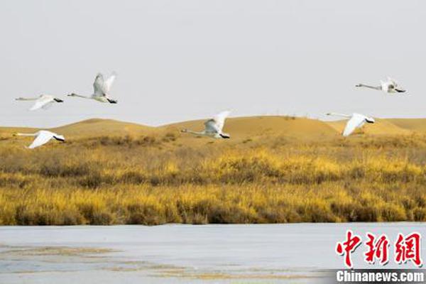 襄阳义乌还有卖荤的吗 虎口余生,襄阳义乌商贸城还有玩的吗