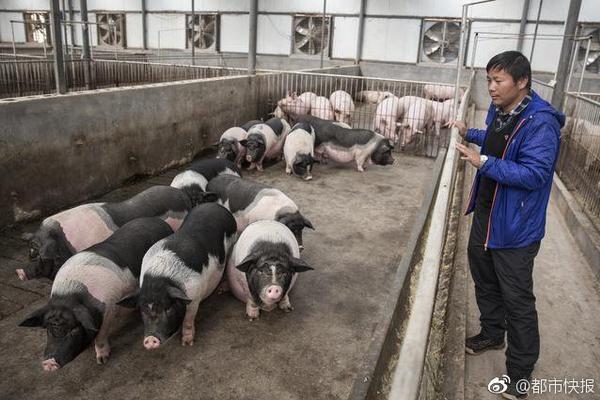 衡阳品茶自带工作室有哪些@由出漏洞,衡阳品茶凯发唯一官网的联系方式