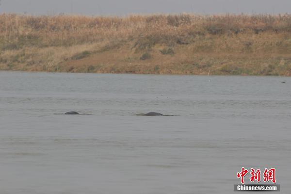 企石深巷村站街,命根子,东莞企石深巷村贴吧