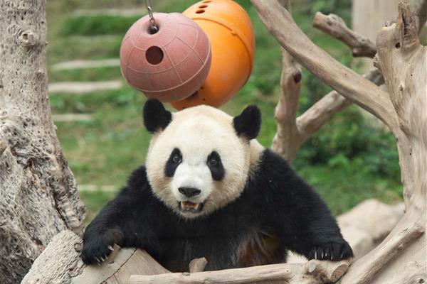 镇江休闲中心哪家好_吃力不讨好,镇江休闲浴室开放了吗