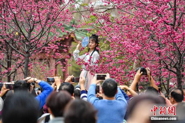 石家庄除了白佛哪里还有、横行霸道,石家庄哪边