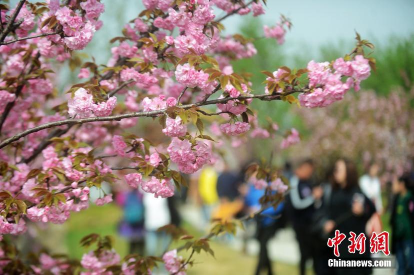 天津西青大学城大活“理睬,天津 西青大学城