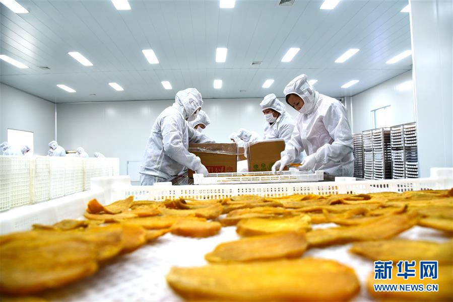 绍兴大活快餐2000元一份:外衣,绍兴 150元快餐