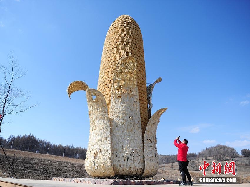 抚顺望花便宜大活#寻较劲,抚顺望花有什么好吃的