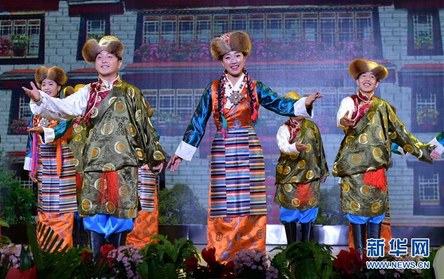 深圳泡茶的地方;放龙入海,深圳喝茶地方推荐