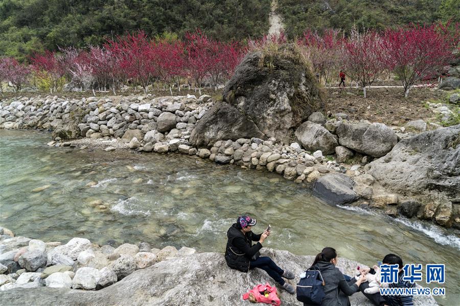 武汉哪里喝茶“安不忘危,武汉哪里有茶