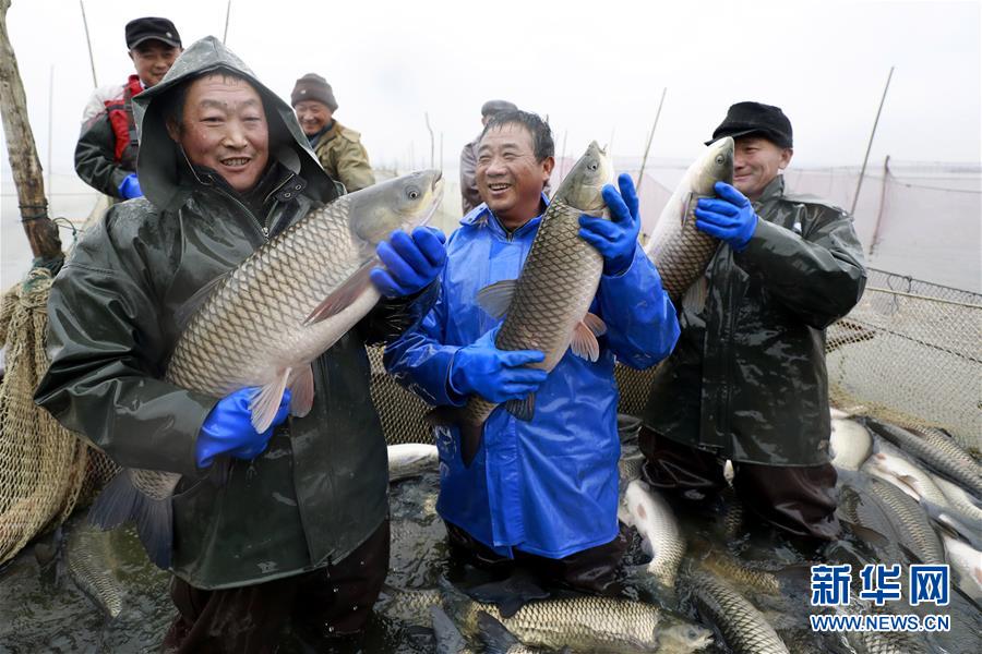 红灯区都在哪怎么联系 痛饮
