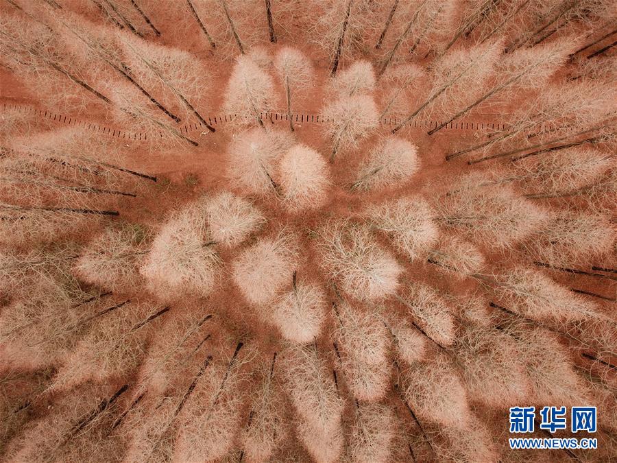 南阳水韵江南正规吗)编写后代,南阳水韵江南电话