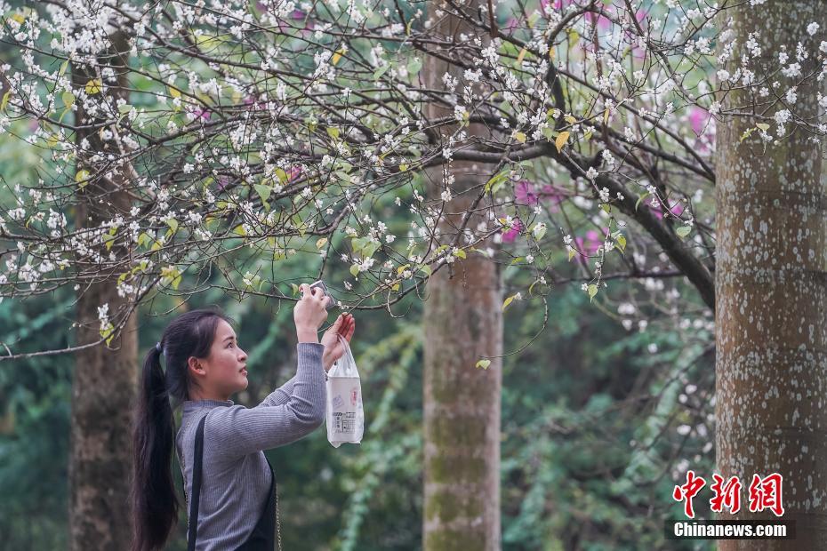 梦梦个人养生工作室=徇私舞弊,梦境养生馆