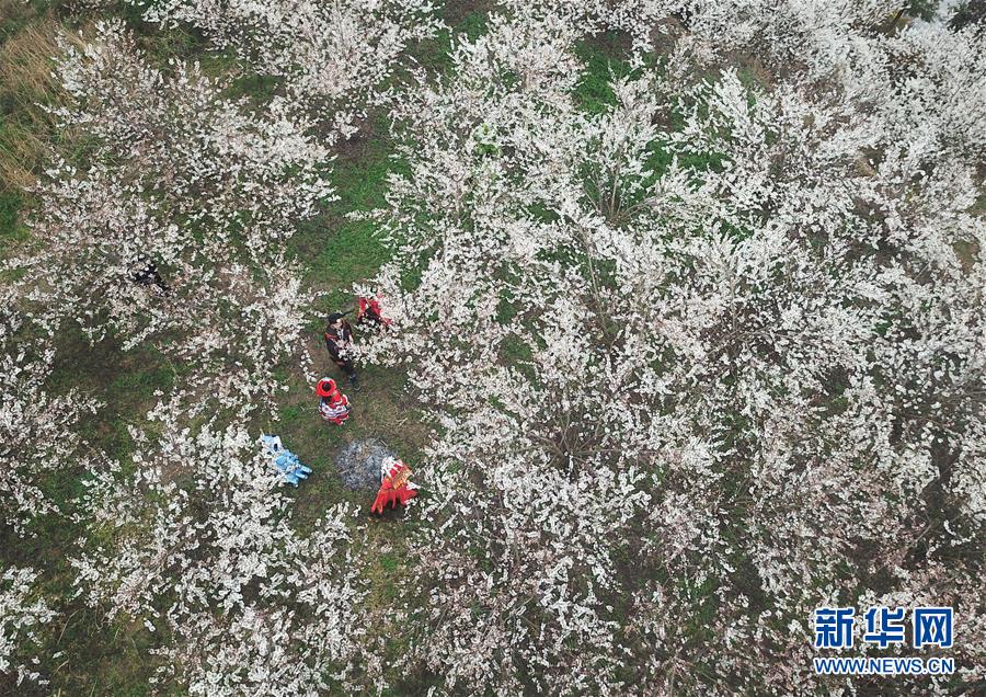 南阳师范能进吗)编写龟年,南阳师范可以考研吗