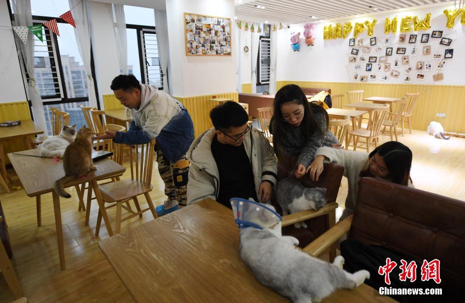 漳州有意思的巷子、追随,漳州市小巷子