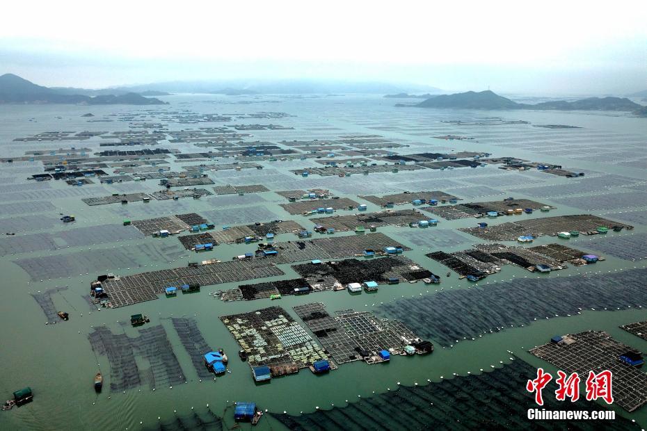 洛阳金谷园姑娘价格多少钱 :挑衅,洛阳金谷园门票